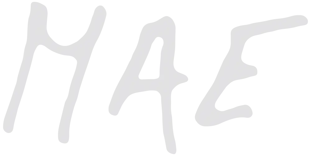 Maria Ang&eacute;lica Echavarri